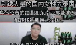 泰国爆料诈骗博主视频大全