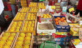 海南水果市场爆料视频最新,新鲜热带水果盛宴来袭！