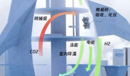 南极最新爆料视频网站,最新爆料视频网站带你领略极地奇观